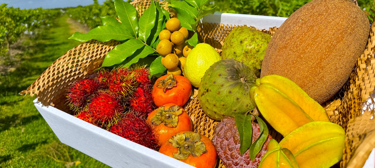 Tropical Fruit Box