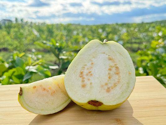 Taiwanese Guava