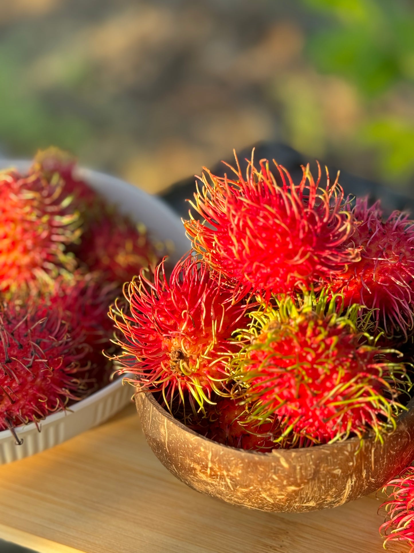 Rambutan