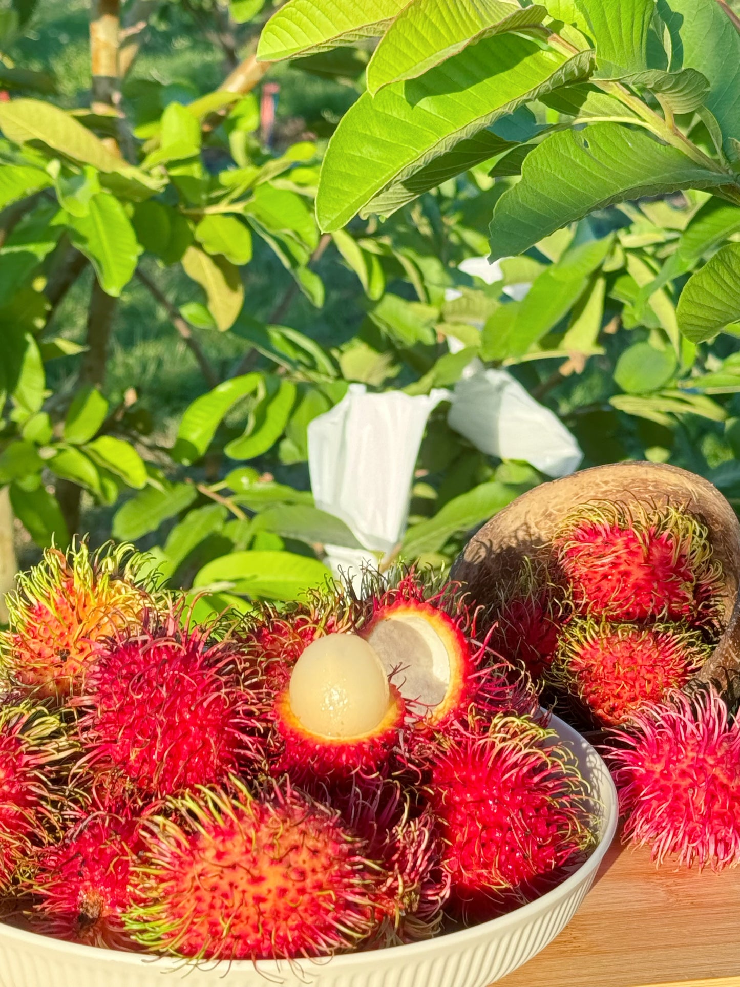 Rambutan