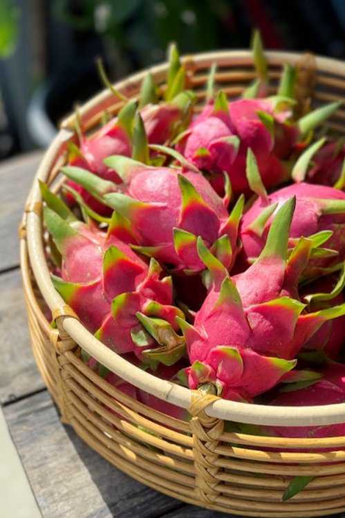 Dragonfruit (White)