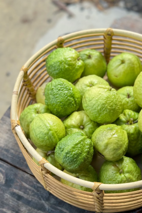 Tropical Fruit Box